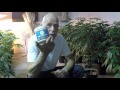 From Seed To Harvest. MJ Plant Care And Nutrition.