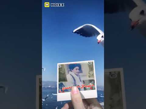 فیلم شهید ملا گل احمد احمدی