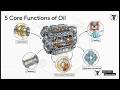 Broken Timing Belt – Instant Damage