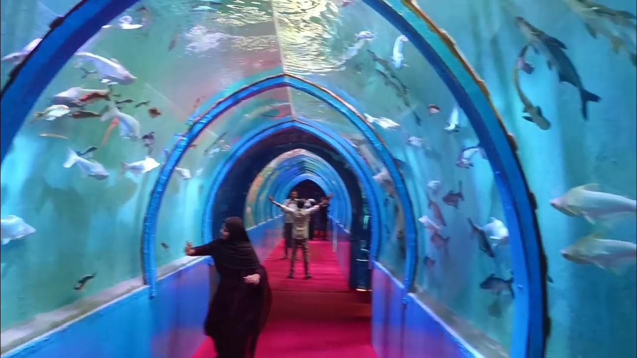 UNDER WATER 🐠🐟 FISH AQUARIUM 🐟🐠 KHAMMAM // FULL VIDEO COMING YouTube