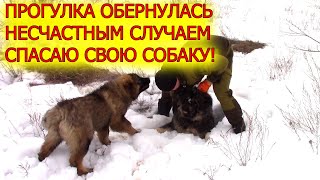 Прогулка обернулась спасением Руты! Гризли пробует рыбу!