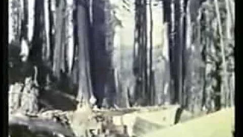 Headrick Logging