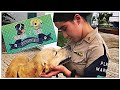 Los 2 Perros Rescatados Por La Marina ¡¡Ya Tienen Nombres!! (Donatelo y Nerón Son Parte De La SEMAR)