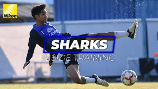 🦈 SHARKS Inside Training : Focused and ready for Port FC!