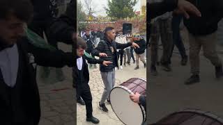 Roman Çocukları Hep Yes Resimi