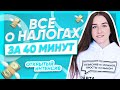 ВСЕ О НАЛОГАХ | ЕГЭ ОБЩЕСТВОЗНАНИЕ 2021 PARTA|