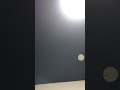 カヴァ ストライク スネオヘアー