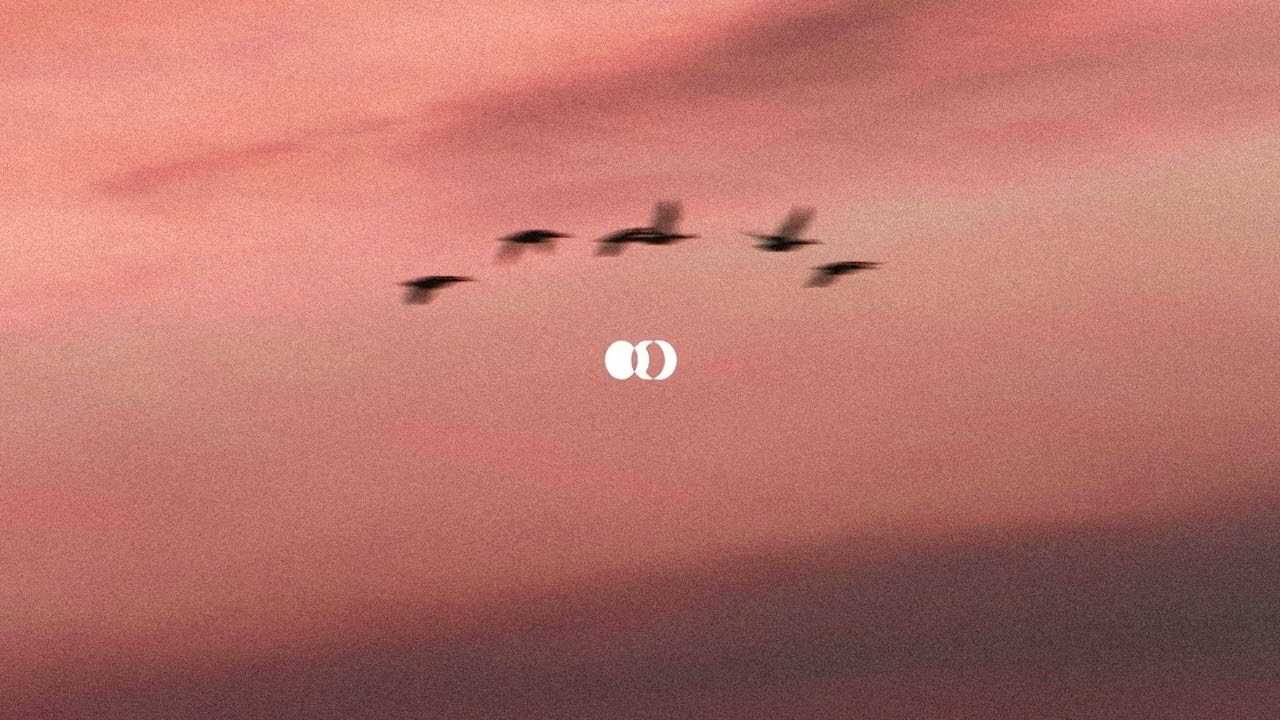 Watch cypress, Six Hills - wings on YouTube Watch cypress, Six Hills - wings on YouTube
