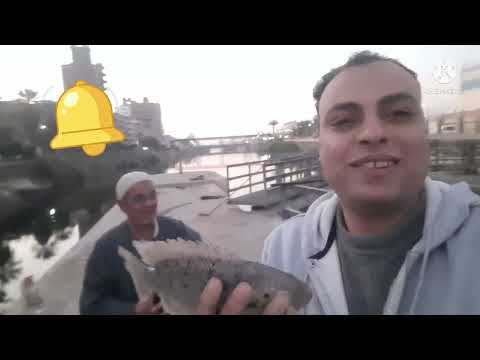 تقرير منسوب ترعه المحموديه هويس ترعه المحموديه