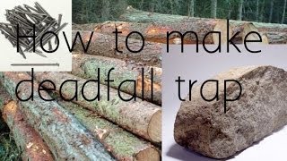 How to make quick dead fall trap