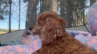 4K Thompson Nicola, British Columbia Canada