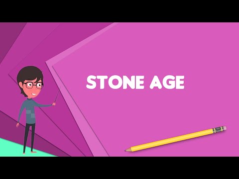 What is Stone Age? Explain Stone Age, Define Stone Age, Meaning of Stone Age