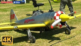 *BEST* SOUNDING RADIAL RC P-47 Reno Racer MOKI 400 5 Cylinder [*UltraHD and 4K*]