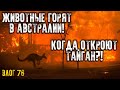 Животные горят в Австралии / Когда откроют Тайган?