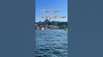 تلاوه خاشعة من القرآن الكريم 🌹♥️😍🤲اللهم اجعل القرآن ربيع قلوبنا ونور صدورنا ♥️🤲😍 #المصحف #اكسبلور