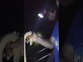 nyetrum di hutan malam hari