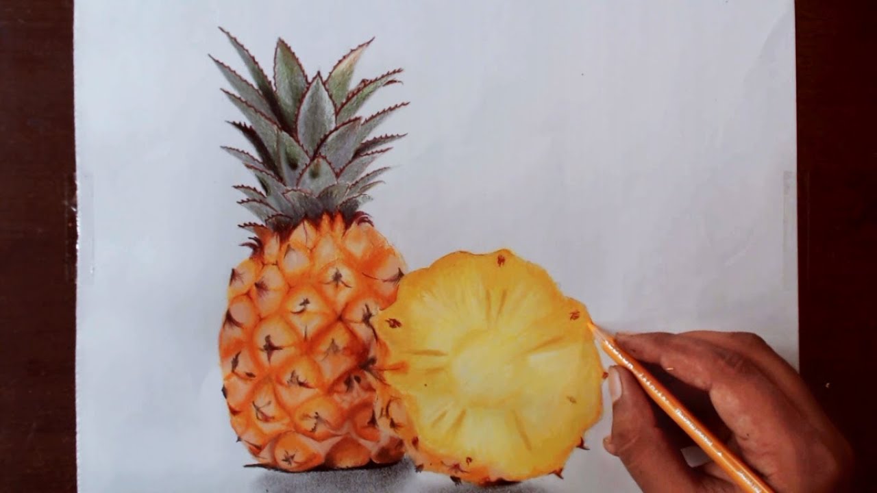  Drawing Pineapple - Prismacolor pencils - YouTube