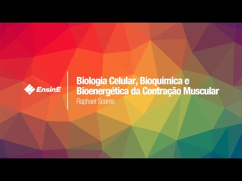 Unidade 7 -