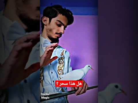 هل هو سحر محرم أم مجرد خفة يد كيف يطير اخبرني