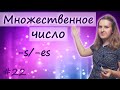 22 Множественное число существительных  - plural of nouns, singular and plural