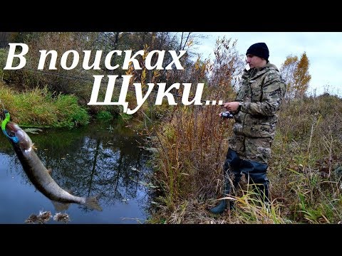 Ловим щуку на реке. Где искать щуку осенью. Джиг. Щука в октябре.