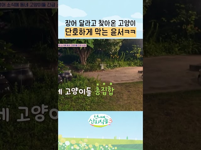 귀엽지만 장어는 안돼 ㅋㅋ #언니네산지직송3
