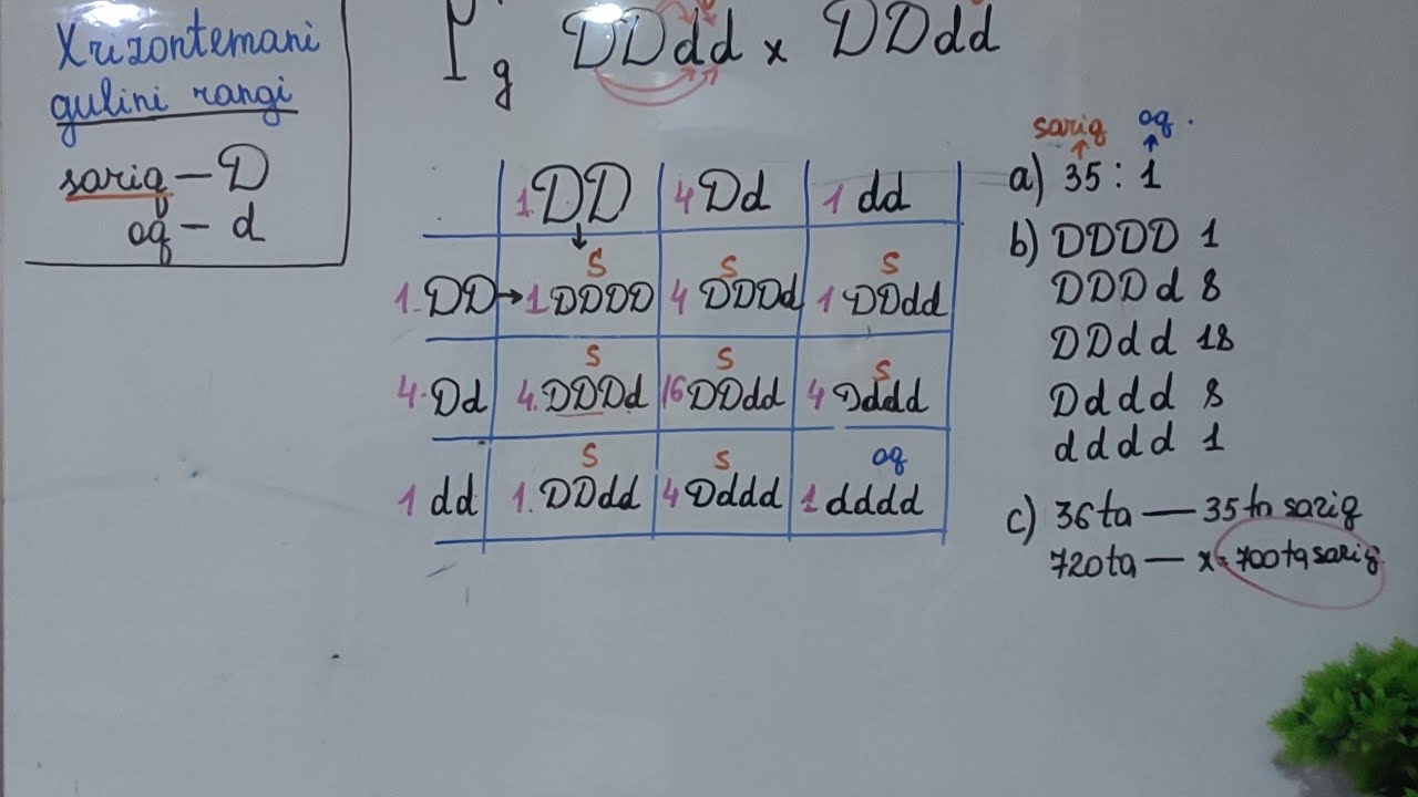 Milliy sertifikat masalasi | Poliploidiyaga doir.