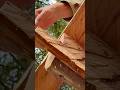 (15) 森で最悪なエリアを、最高の場所に開拓！(足らずの材料確保で、山小屋の屋根作りが大詰め！)