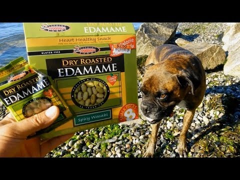 Seapoint Farms Dry Roasted Edamame (Spicy Wasabi) Review