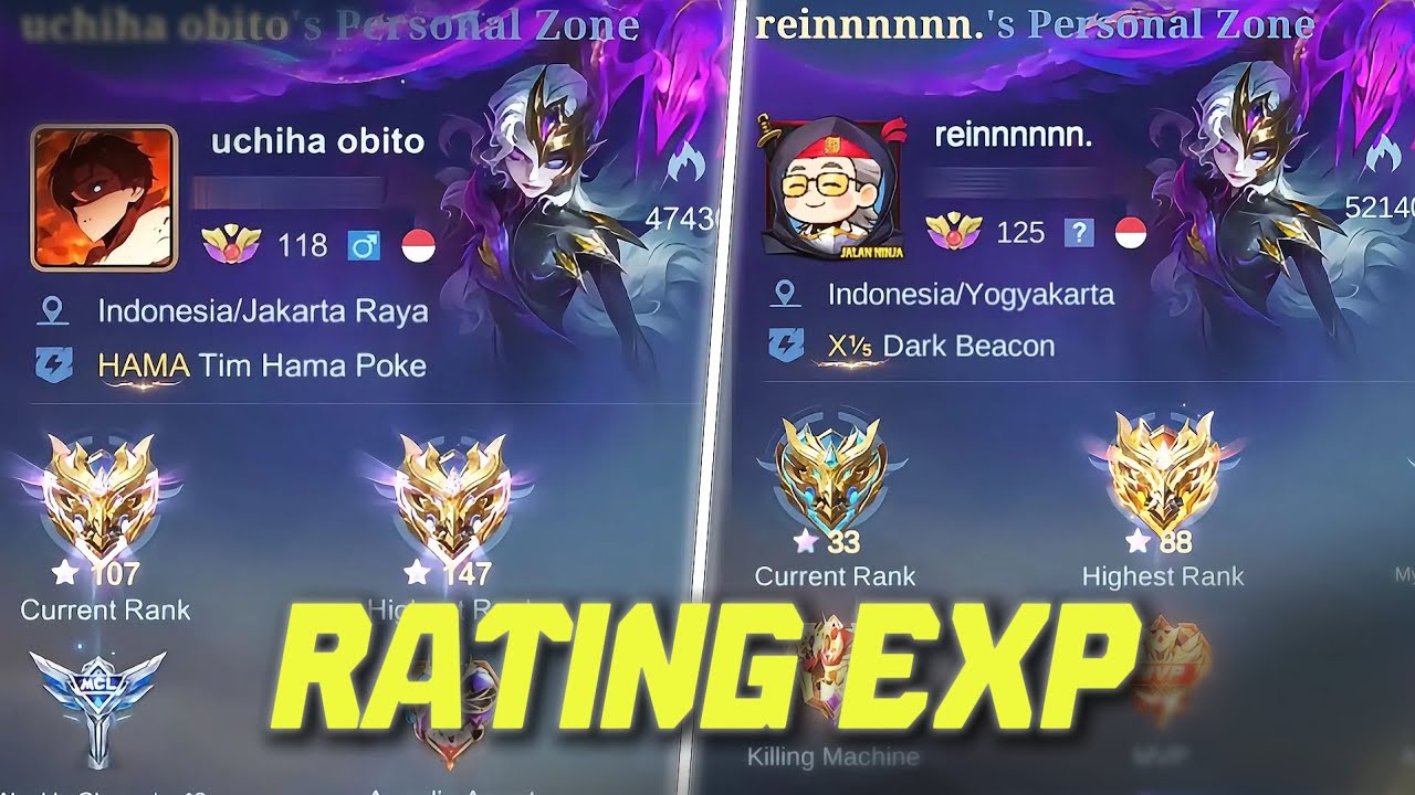 2 Player Exp  2 Playstyle Berbeda