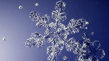 Why No Two Snowflakes Are Exactly Alike