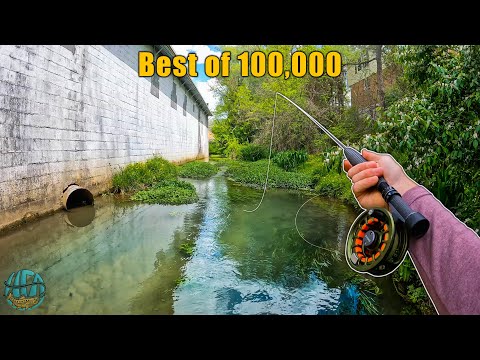 The Best Fishing / Fly Fishing Video! (best Of 100,000 Subscribers)