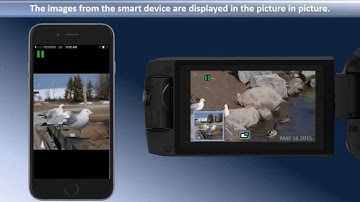 Panasonic - Camcorders - HC-WX970, HC-VX870K, HC-V770K - Wireless set up with an iOS smart device.