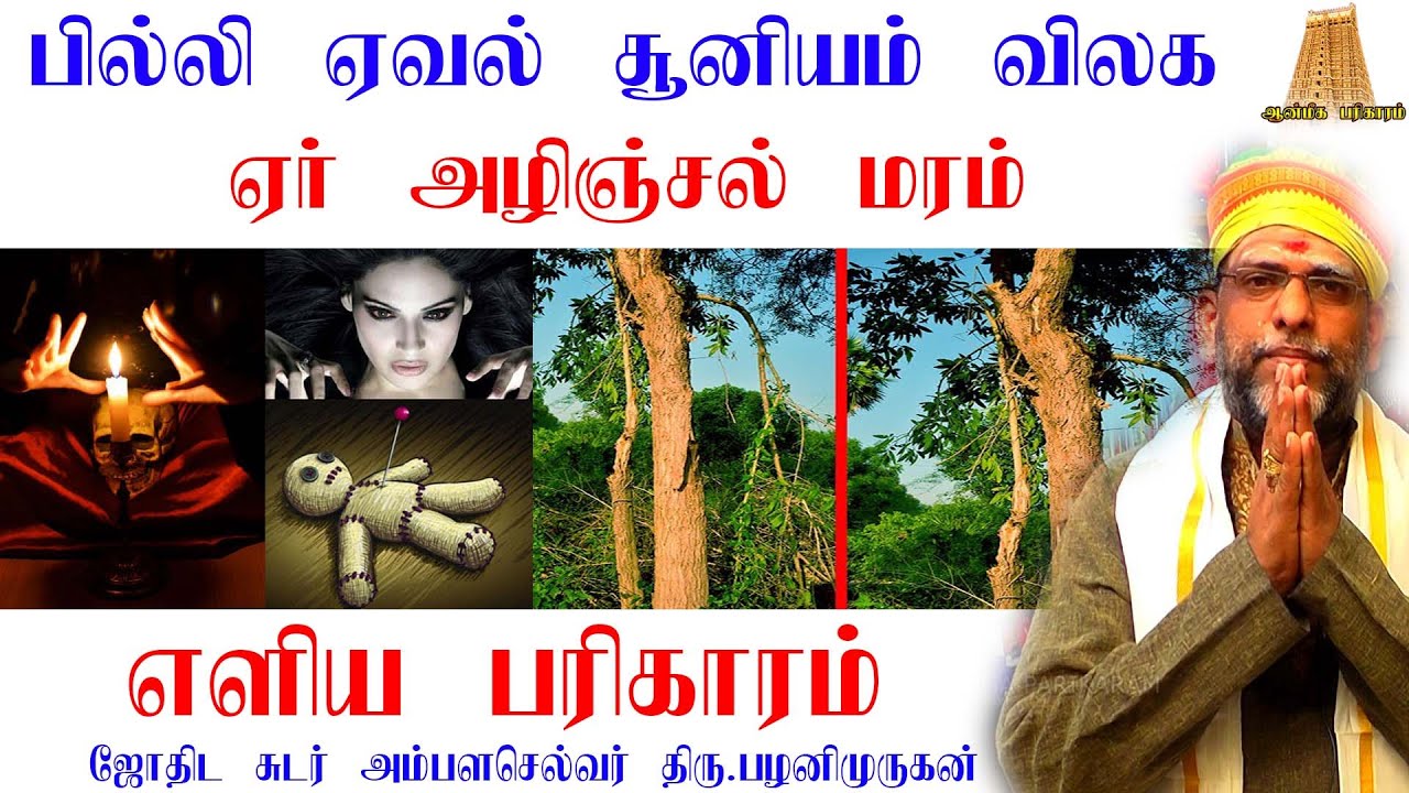 ஏவல்,பில்லி,சூனியம்,பேய்,பிசாசு,தீய சக்திகள் வீட்டை விட்டு,உடலை விட்டு வெளியேற சக்தி வாய்ந்த மரம்