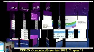 Celebrity CIS105: 11/18/25: Computing Essentials 2023: Chapter 11 (Databases) Wealth