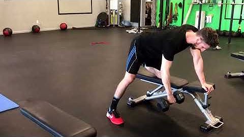 Dumbbell High Elbow Row.  N8 Training Systems