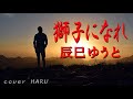 新曲「獅子になれ」辰巳ゆうと cover HARU