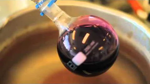 Does nature have a cure for Alzheimer's?