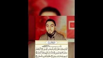 سورة الفيل _ قران كريم مجود _ للأطفال الصغار #quran quraan _ Surah AL_ Fil