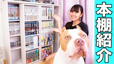 フィシャーズ 本棚