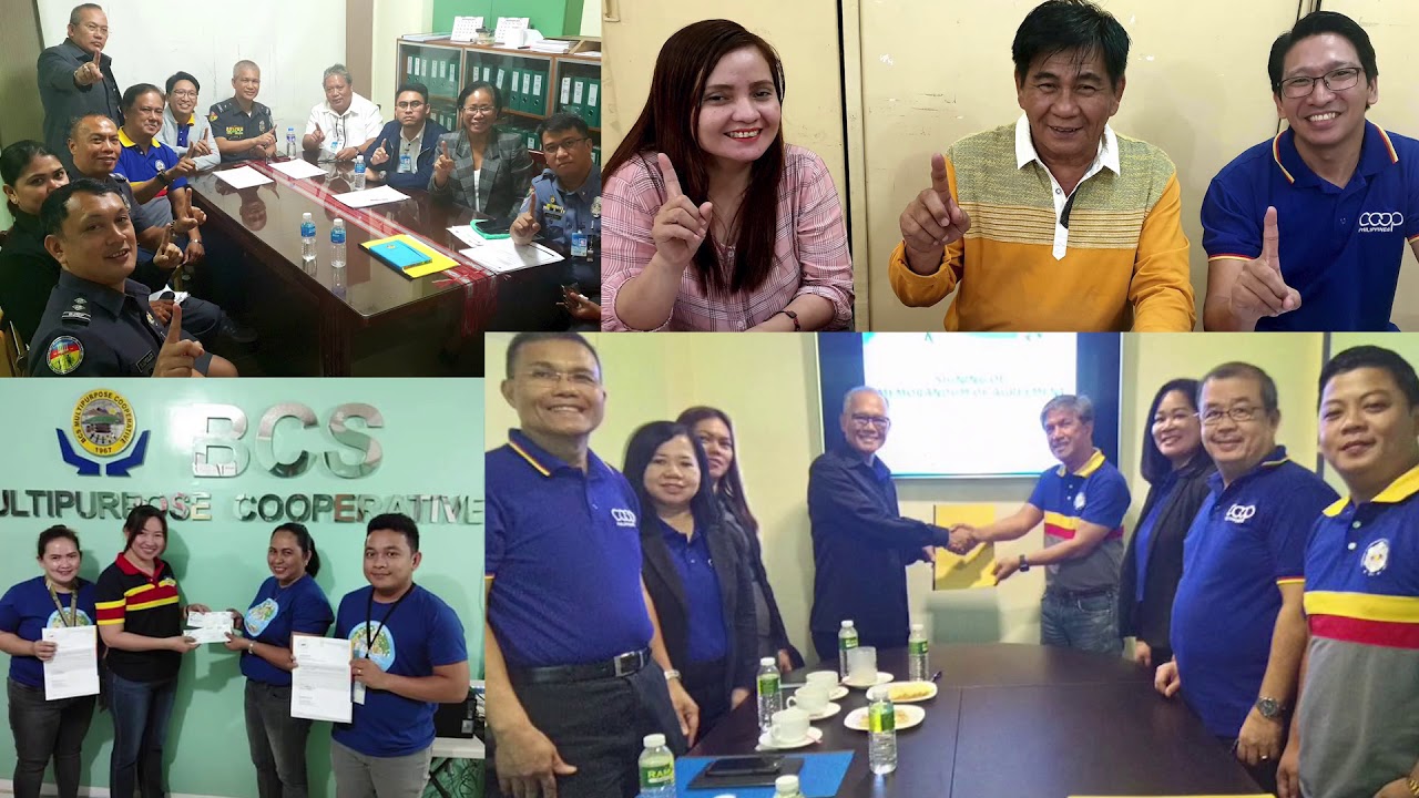 1CISP Joint Report 2019