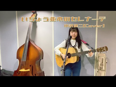 いちょう並木のセレナーデ／ 小沢健二 I 【cover】 弾き語り