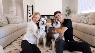We Finally Moved Into Our New Home! by The Husky Fam 33,574 views 1 year ago 9 minutes, 32 seconds