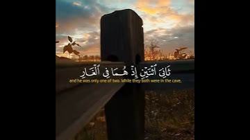 ماهر المعيقلي {"إلا تنصروه فقد نصره الله "} سورة التوبة ❤🍃