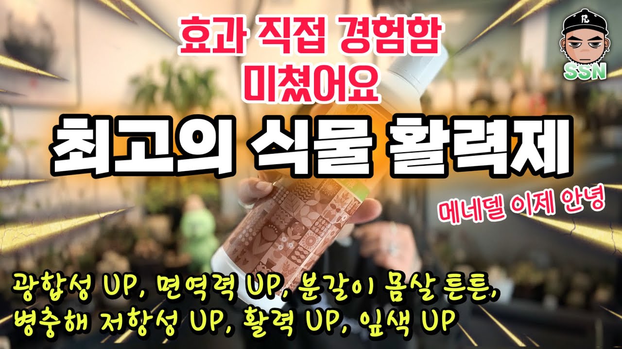 식물 영양제 비료 압도적 추천 ㅣ 광합성 UP, 식물 활력 UP, 잎색 UP, 병충해 저항성 UP, 주면 바로 흡수되는 철 비료 ㅣ 메네델 이제 안녕