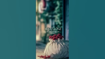 ارح سمعك و قلبك 🤍 قرآن كريم 🤍 اكتب شيئا تؤجر عليه 🤍