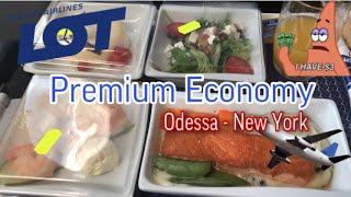 Деньги на ветер⁉️✈️Межатлантический Рейс Одесса-Нью Йорк. Lot Premium Economy.