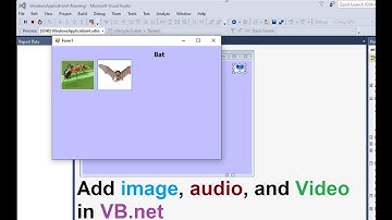 How to add image, audio, and video in application desktop VB.net