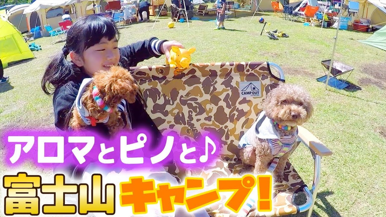 キャンプで富士山こどもの国 犬のアロマとピノも一緒に静岡2泊3日キャンプ ひまひまチャンネル Youtube