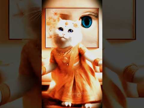 Cat dance #catvideo #cutecat #cat #pur